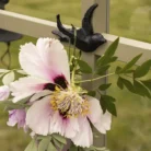 H2eabb151e885429e8d1862ced64d0b80h