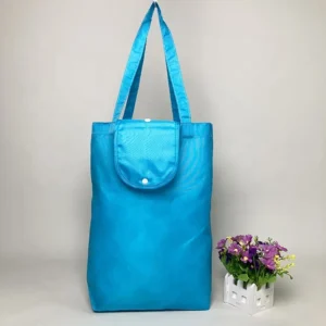 Nylon Foldable Reusable Duffle Bag