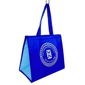 Eco-friendly Insulated Lunch Tote