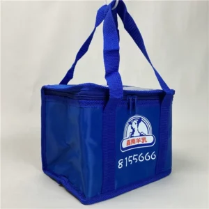 Insulated Thermal Cooler Bag
