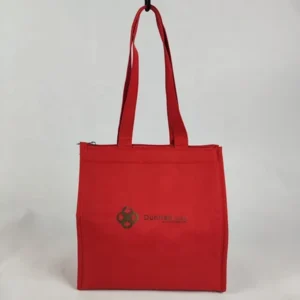 Large Insulated Lunch Cooler Tote