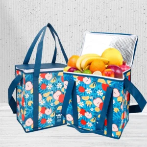 Arrival Logo Cooler Bag Insulated Lunch Box for Travel and Picnic Thermal Insulation