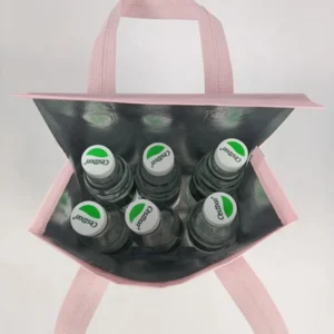 Insulated Portable Cooler Bag