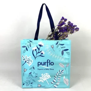 Eco-friendly Laminated Shopping Bags