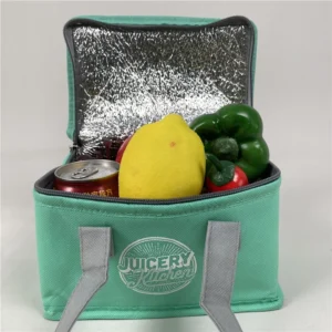 Insulated Polyester Lunch Bag with Zipper