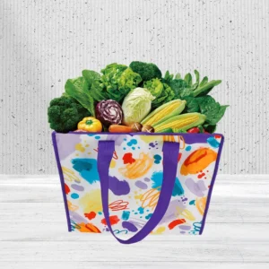 Logo Large Rpet Non-woven Cooler Packaging Zipper Insulated Thermal Bag for Food Delivery