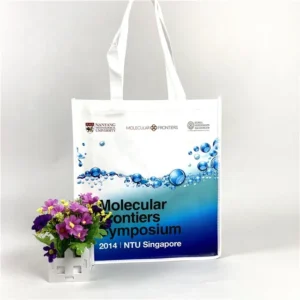 Biodegradable Medium Pp Woven Shopping Bag