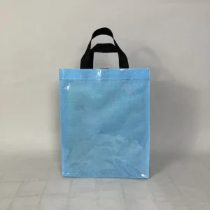 Medium Transparent Pvc Travel Tote Bag