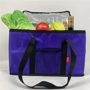 Waterproof Insulated Lunch Cooler Bag