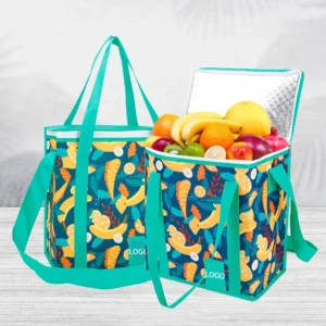 Logo Thermal Insulated Cooler Bag for Food Delivery Travel Picnic