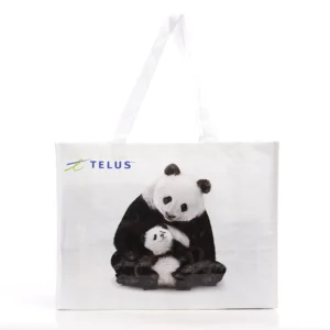 Eco-friendly Reusable Non-woven Shopping Bags