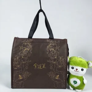 Portable Insulated Cooler Bag