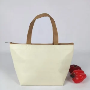 Outdoor Thermal Cooler Bags Logo Insulated Waterproof and Eco-friendly Lunch Bag Non Woven for Food