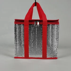 Insulated Portable Picnic Cooler Bag