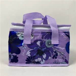 Insulated Polyester Lunch Box Cooler