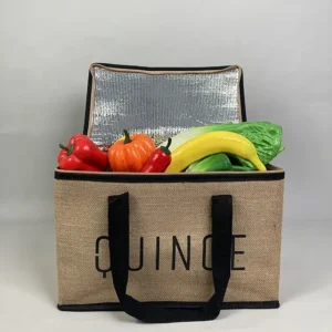 Insulated Canvas Lunch Cooler Bag
