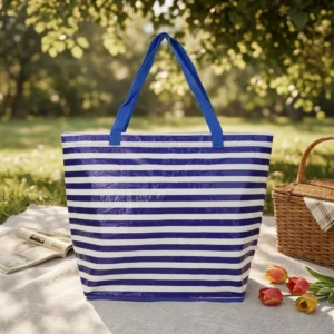 Eco-friendly Blue Stripes Shopping Tote